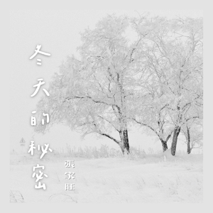 徐少强给老婆扎还魂针
